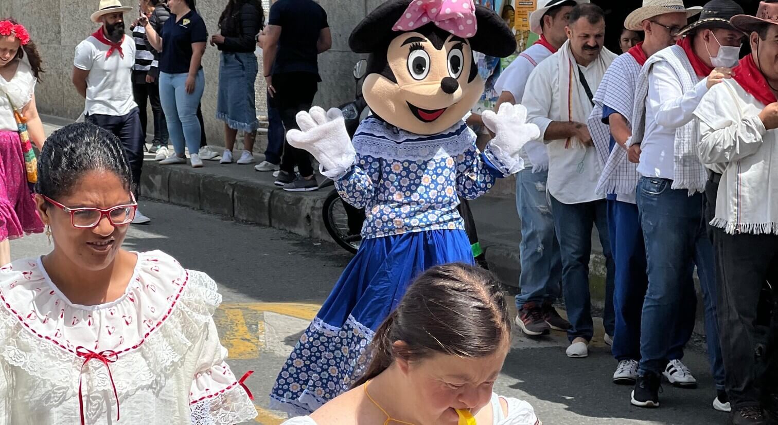 Imagen 13